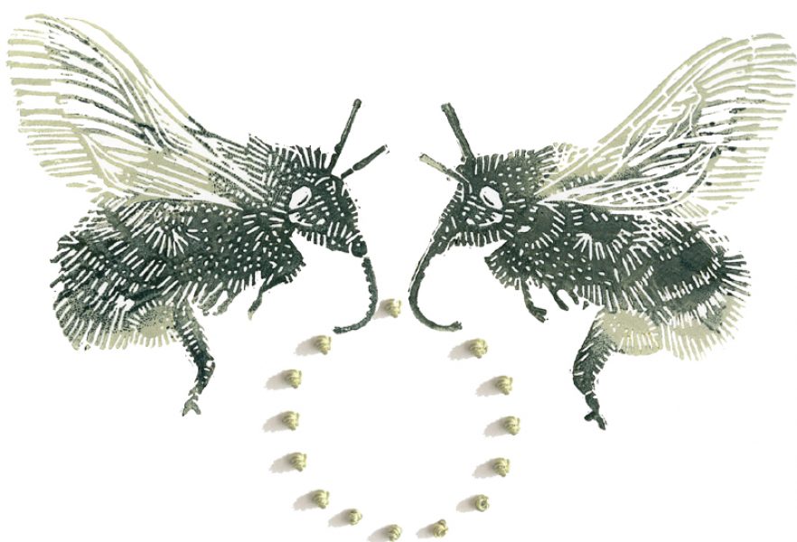 mini-print-the-pollinators-200-x-200-800